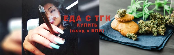 стаф Ельня